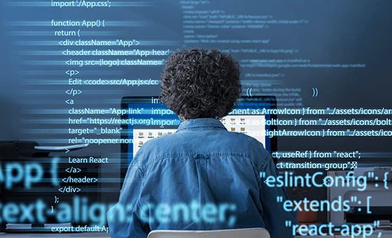 Custom Web Development