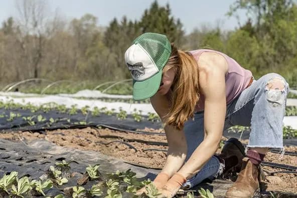 Agricultural Analytics