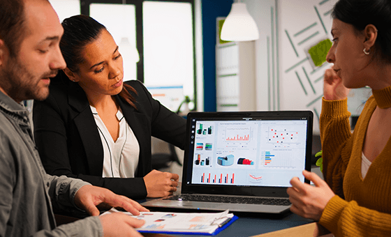 Web Portal Development