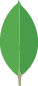 MongoDB