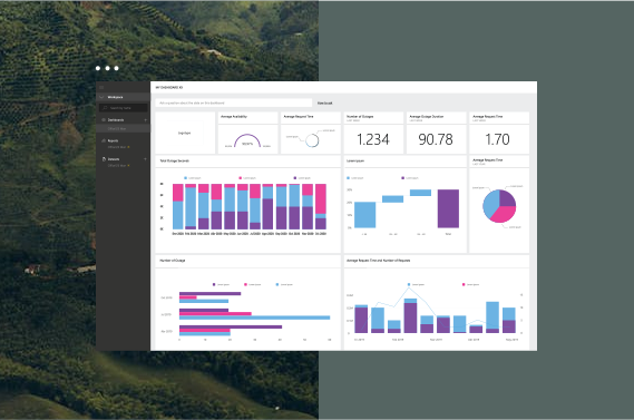 Custom CMS Development
