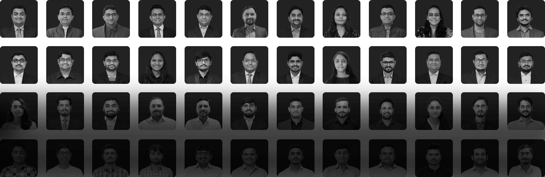 Meet Our Team