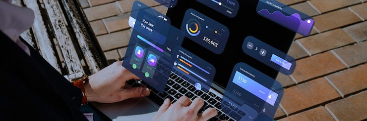 ERP Customization