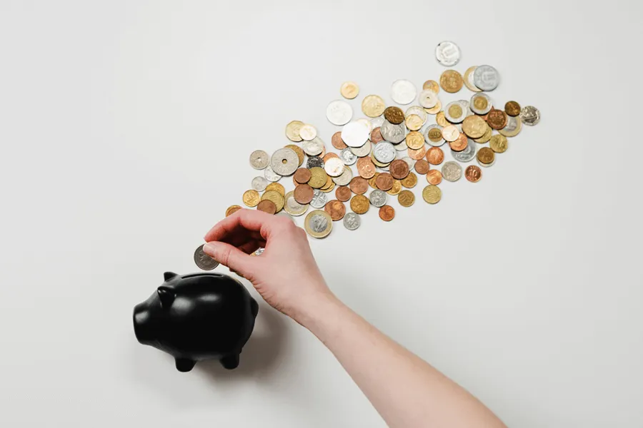 Why spend on custom software development?