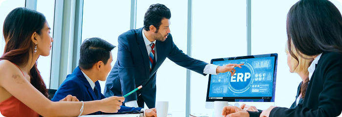 Enterprise Software Development