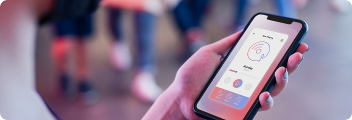 Ionic Hybrid App Development