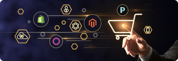 Platform-Based eCommerce Development