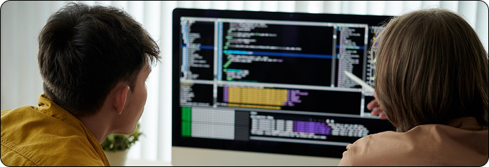 Custom Prestashop Development