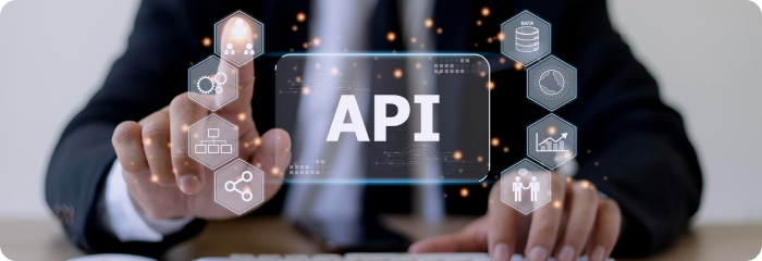 PHP API Development
