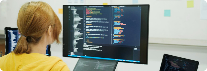 Module & Plugin Development