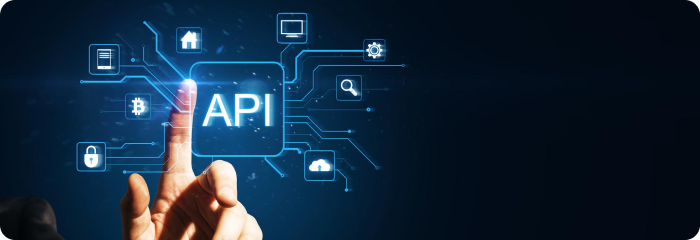 Third-Party API Integrations