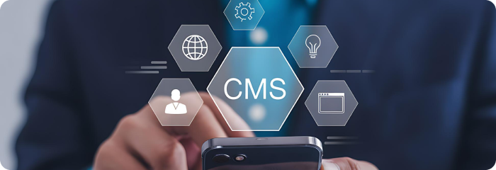 CMS Integration Services