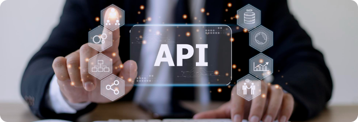 Custom API Development