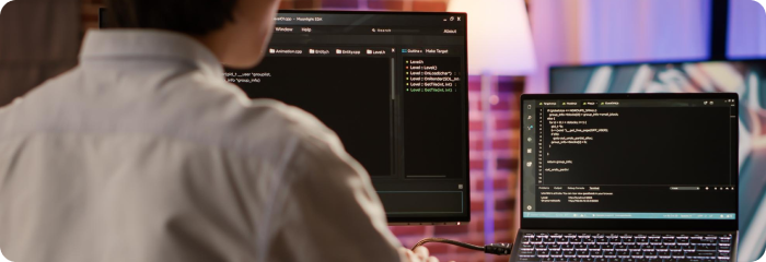 Custom Modules & Plugin Development