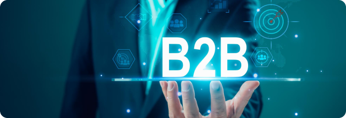 B2B and B2C Ecommerce Portal Development
