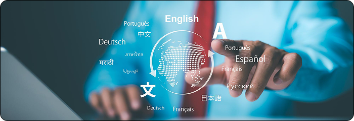 Multilingual Chatbot Development