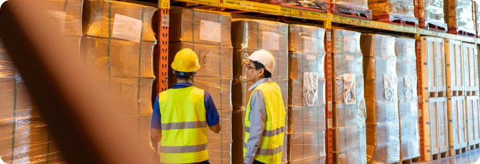 Supply Chain Management Software