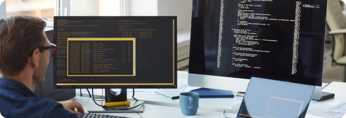 VueJS Web App Development