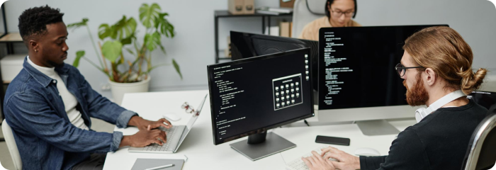 Bug Identification, Tracking & Fixes