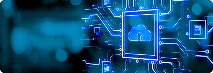 RESTful API Development
