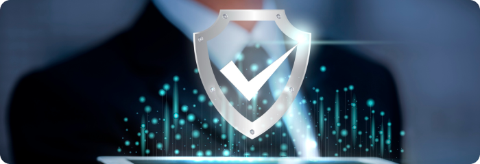 Revenue Assurance and Fraud Management Software