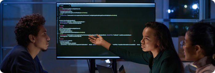 Software Auditing & Code Quality Reviews
