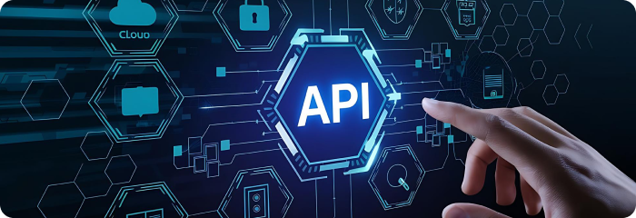 Telecom API Development and Monetization